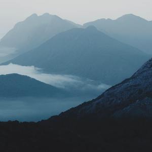 特级大黄AAAAAA片
